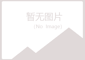 铁山港区敷衍建设有限公司